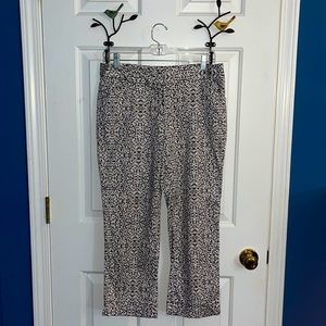 Laundry by Shelli Segal navy and white flared crop